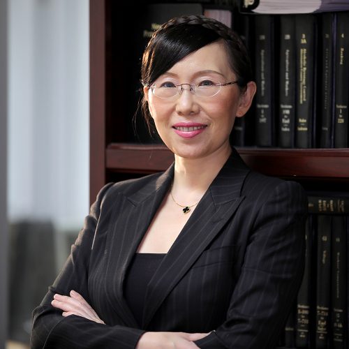 Lawyer Guo Fengli